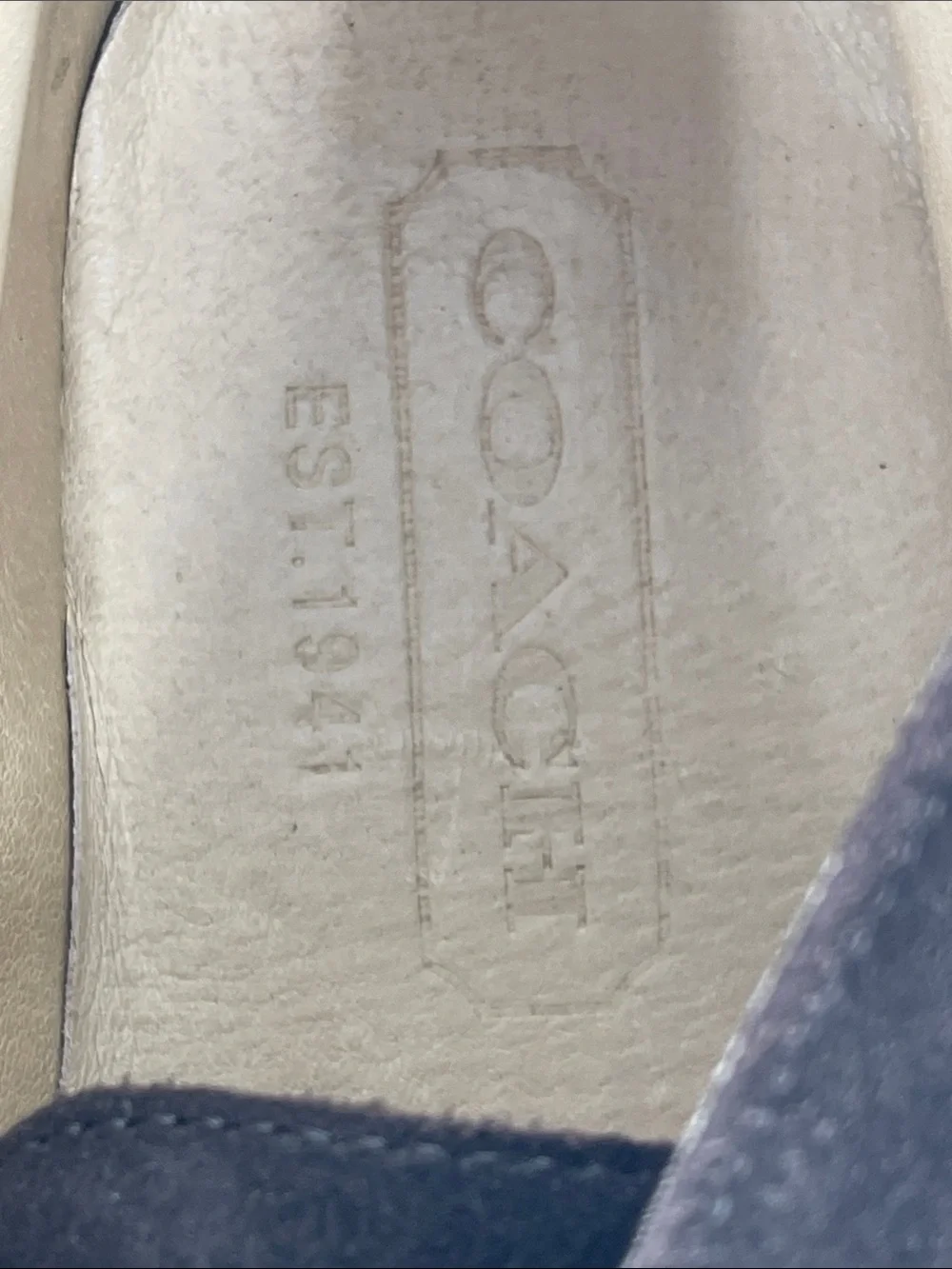 Coach ANTHONY Men's Dark Brown Suede Chukka Boots with Olive Laces SIZE 10 M
